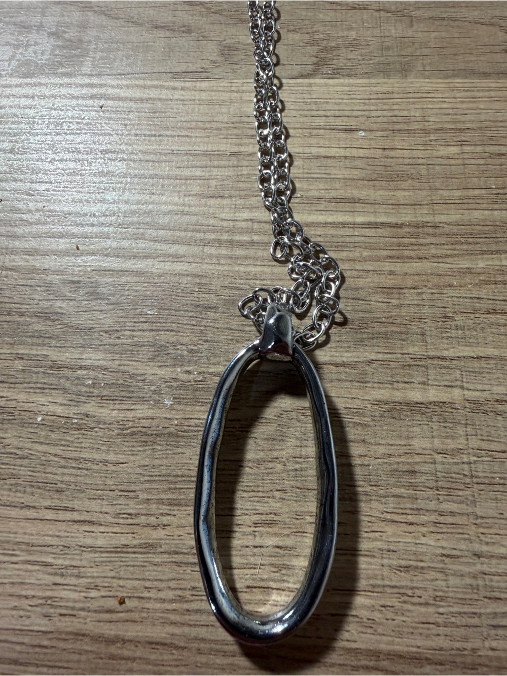 Paparazzi Silver Oval Pendant Long Necklace